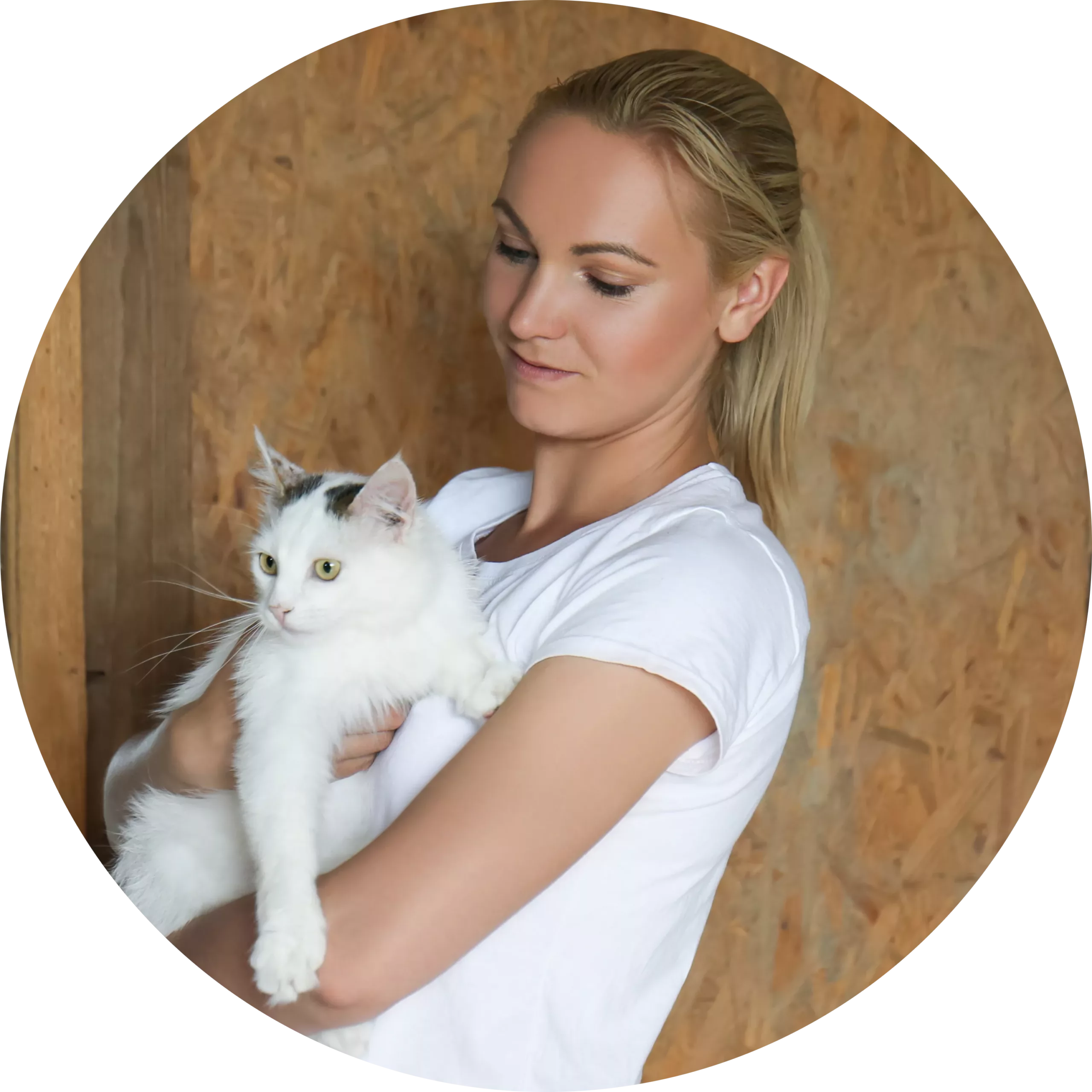 Lucky Paws help request guidance