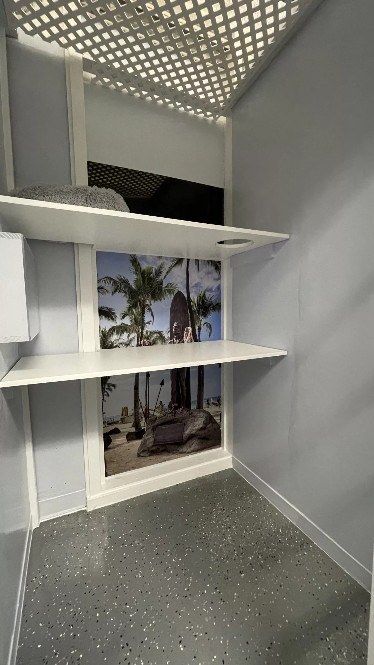 Lucky Paws Cat Resort facility interior